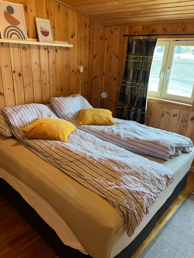 Skeikampen Leilighet, Veslesetervegen 973 F Apartment Svingvoll ภายนอก รูปภาพ